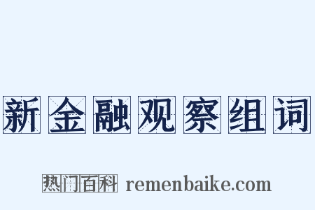 新金融观察组词是什么意思的图片